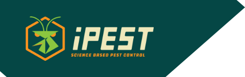 ipest logo with bg